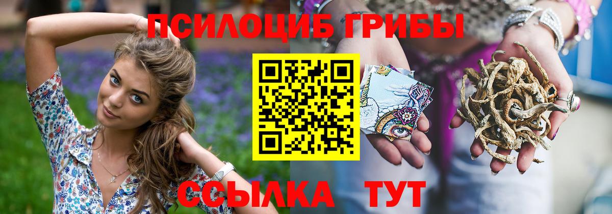 Галлюциногенные грибы прущие грибы Армавир
